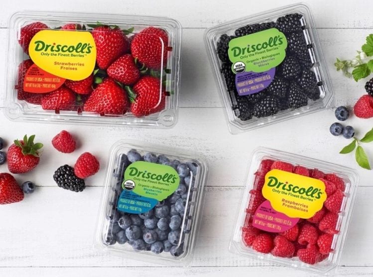 Strack & Van Til offers the berry best with Driscoll’s