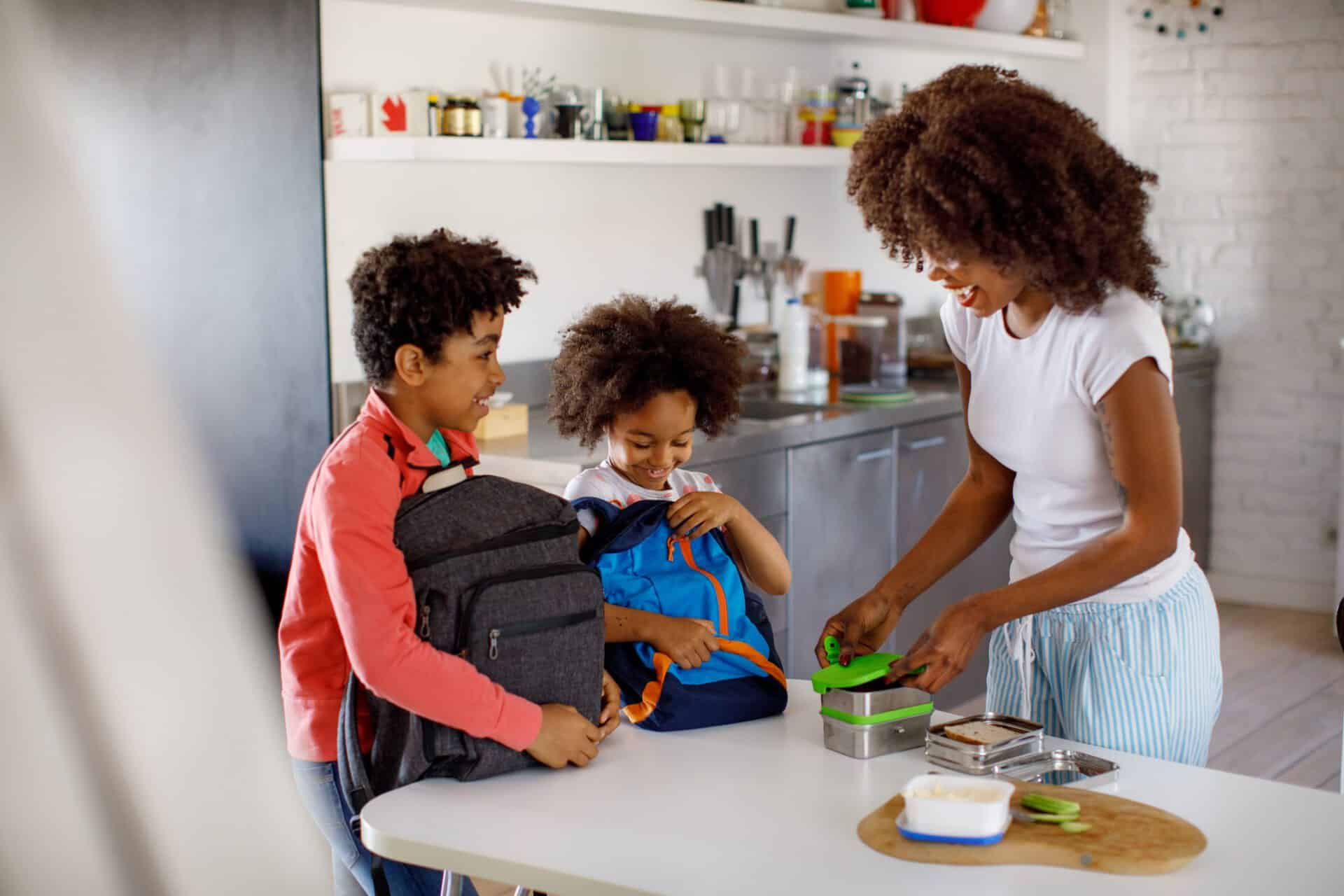 Mother Making School Lunch