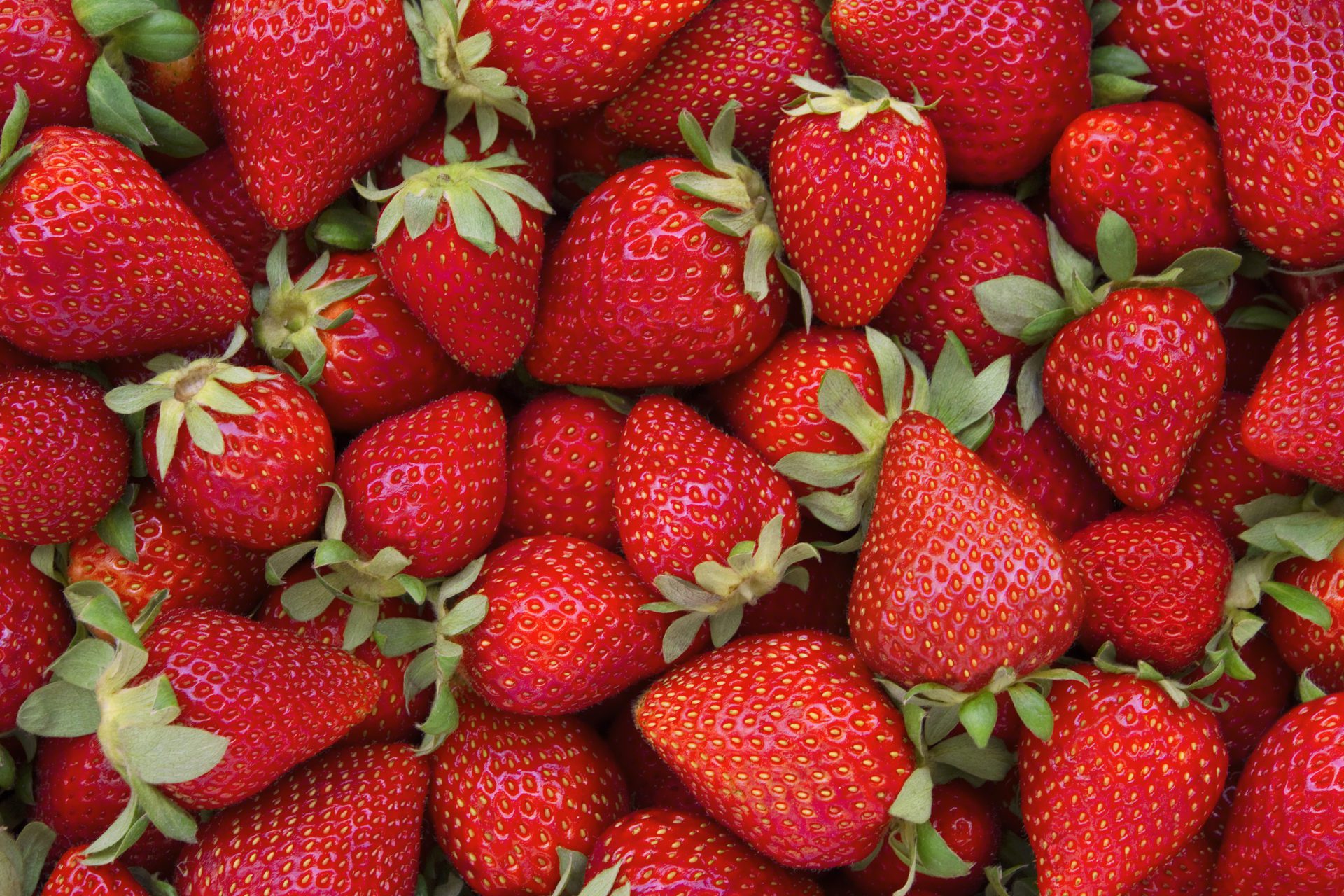 Summer gets no sweeter than Driscoll’s berries from Strack & Van Til