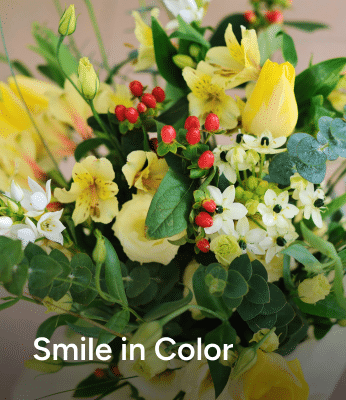 Smile in Color